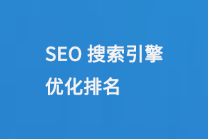 SEO搜索引擎優化排名