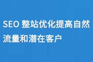 SEO整站優(yōu)化提高自然流量和潛在客戶